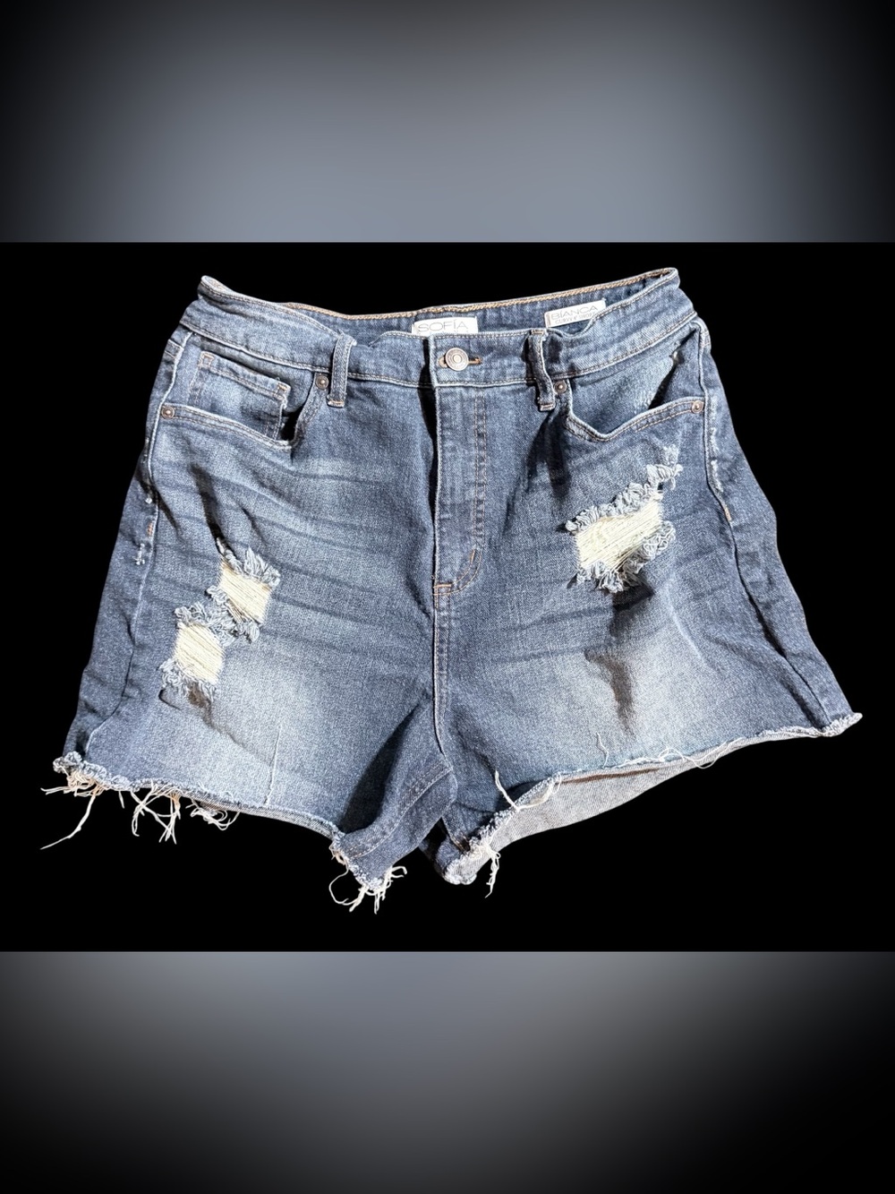 Sofia Vergara Bianca Curvy 4" Cut Off Denim Shorts Distressed Blue Size 10